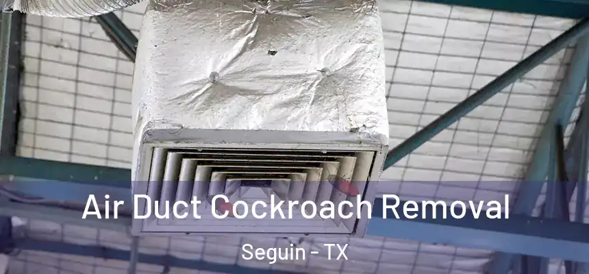  Air Duct Cockroach Removal Seguin - TX