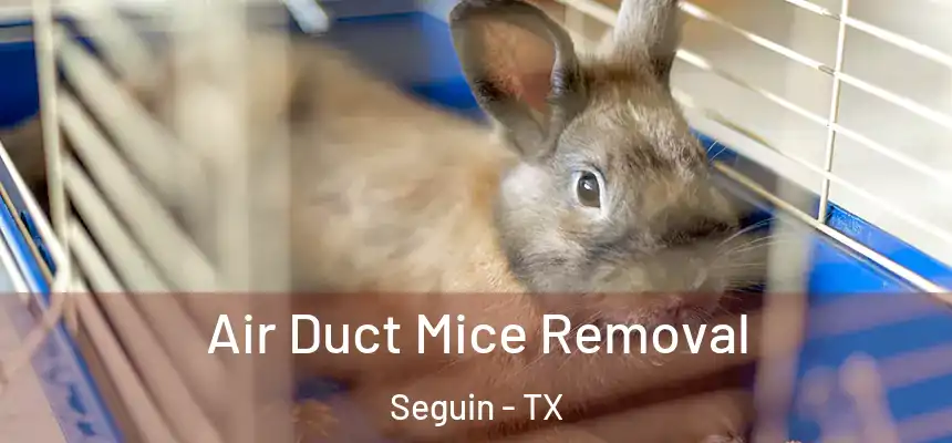 Air Duct Mice Removal Seguin - TX