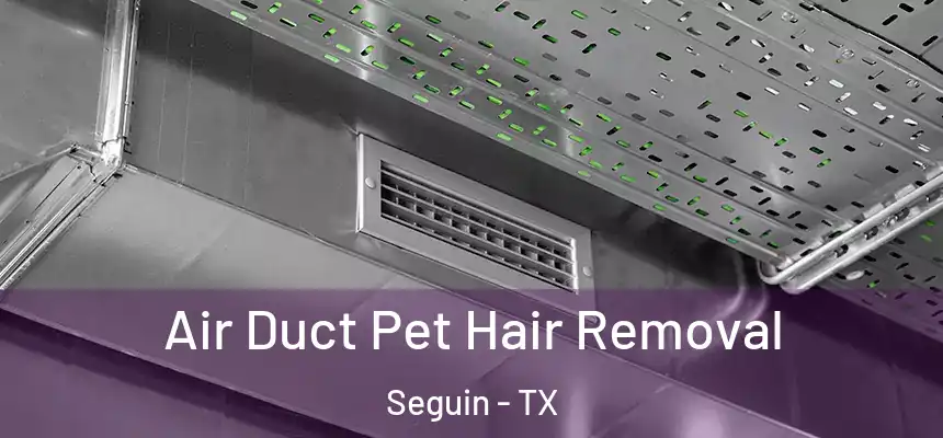  Air Duct Pet Hair Removal Seguin - TX
