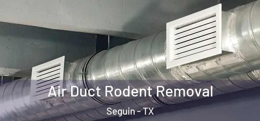  Air Duct Rodent Removal Seguin - TX