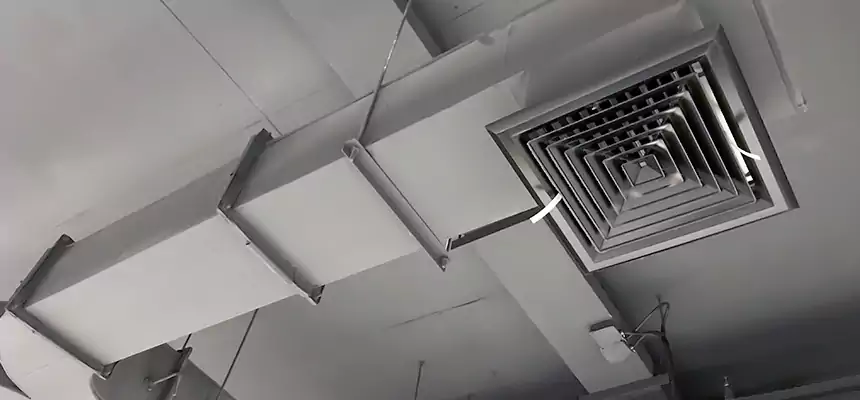 Restorative Allergy Relief Vent Cleaning – Coil, Blower & Housing Detail in Seguin