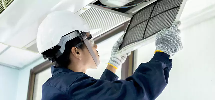 Our Mold & Mildew Removal from Air Ducts Services in Seguin, TX