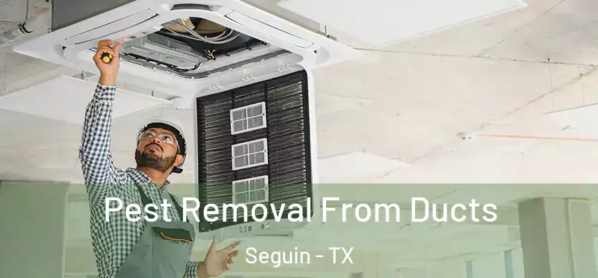 Pest Removal From Ducts Seguin - TX