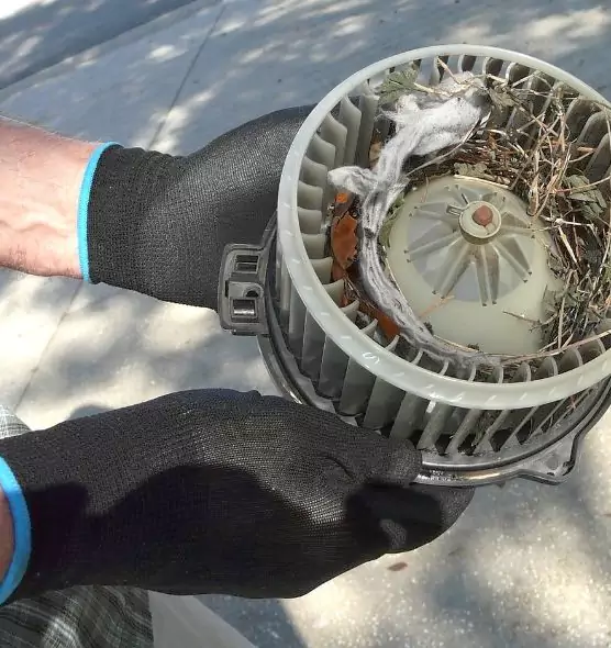 About Air Duct Rat Removal in Seguin, TX