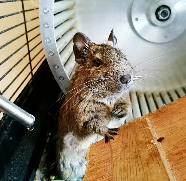 Why Homeowners & Businesses Trust Us Seguin, TX?