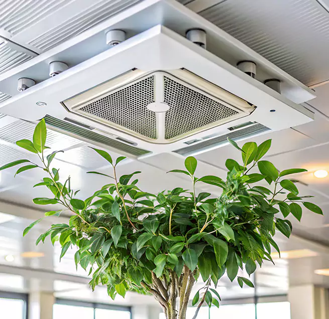 Why Homeowners & Businesses Trust Us in Seguin, TX?