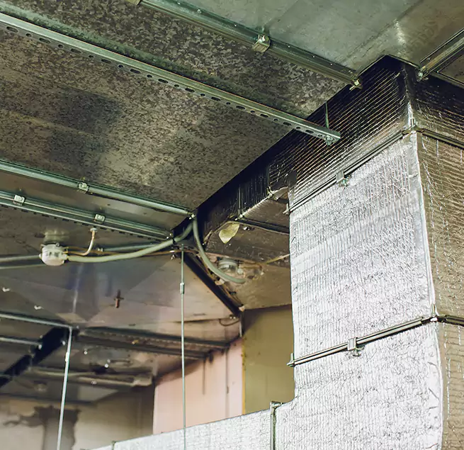 Why Homeowners & Businesses Trust Us in Seguin, TX?